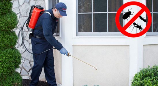 İspir Bit İlaçlama böcek ilaçlama ve haşere kontrolü — ilaclama-tr.com